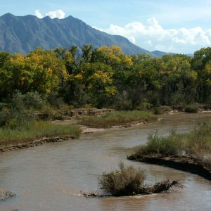 Bosque Engineers (MS)