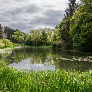 Pond (Pre-K)